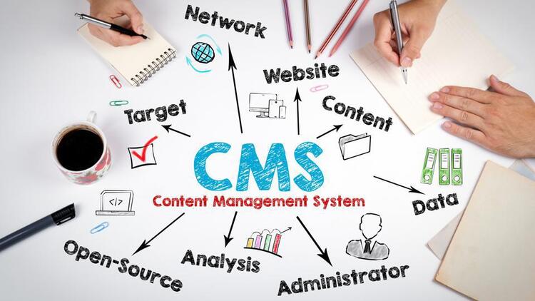 Content Management System (CMS) 02