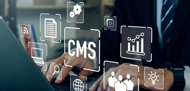 Content Management System (CMS) 03