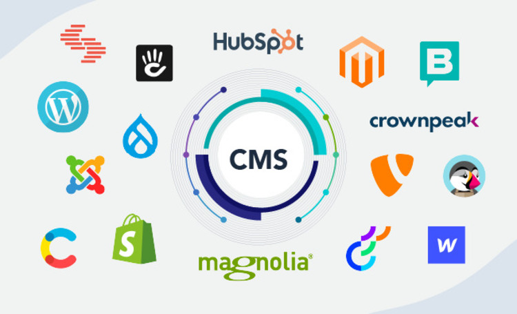 Content Management System (CMS)