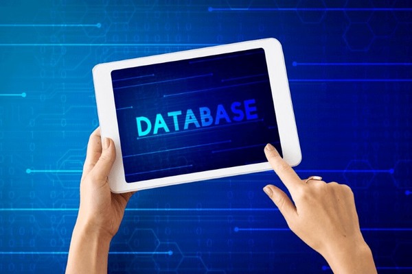 Database 01