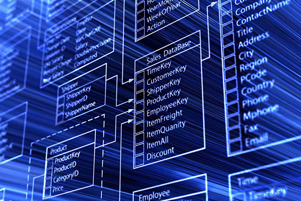 Database